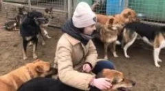 Как да станете доброволец в приют за животни